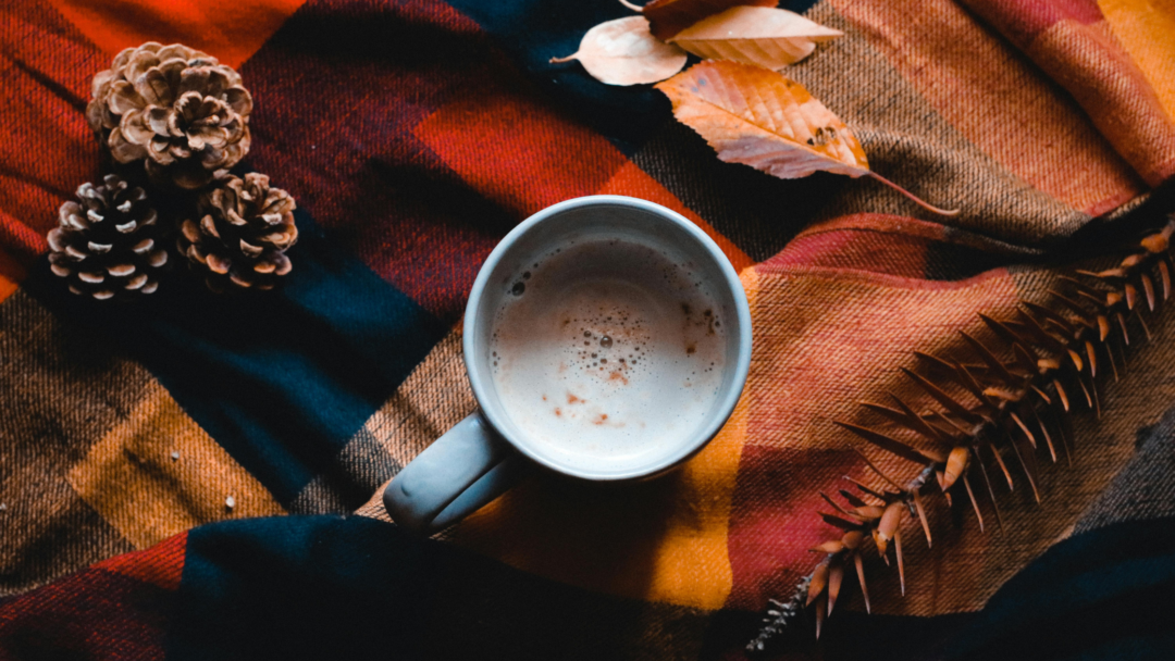 Stay Cosy this Autumn with our new Products