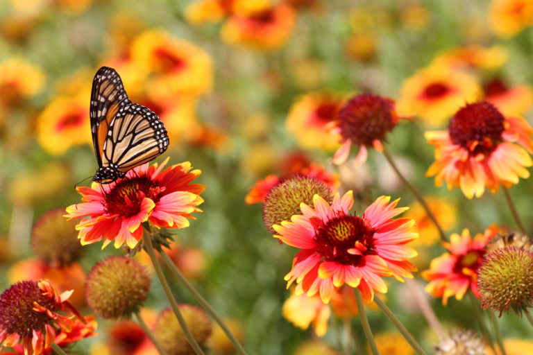 Preparing for Spring Events: Why Now is the Time to Plan Your Merchandise 